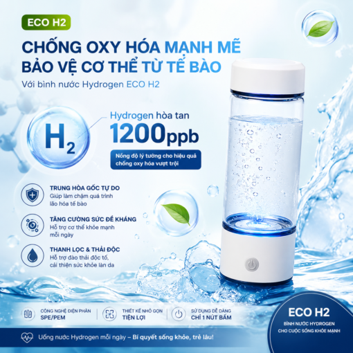 Bình nước điện giải Hydrogen Hyon Eco H2